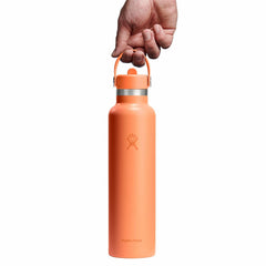 24 oz Standard Mouth with Flex Straw Cap