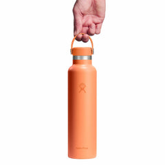 24 oz Standard Mouth
